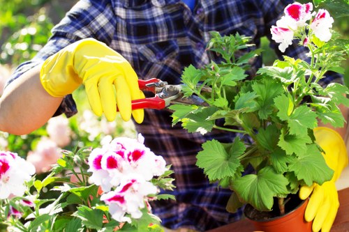 Gardening team arriving at a Westminster terrace garden