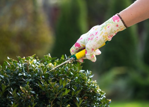 Front view of gardeners preparing tools