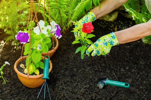 Westminster garden maintenance in progress by experts