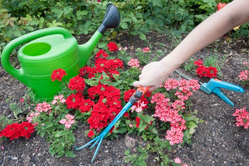 Gardener reviewing a garden design plan