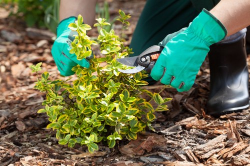 Safe payment advice for Westminster garden maintenance