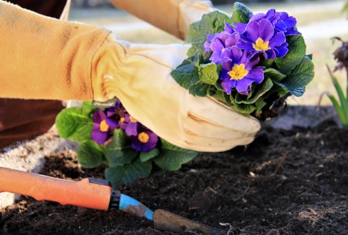 Sustainable native plants in a landscaped garden