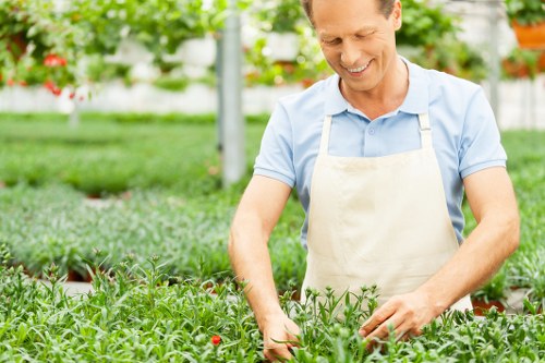 Comparison of DIY and professional lawn mowing services