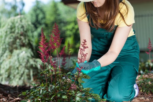 Lush greenery and floral arrangements in Westminster garden