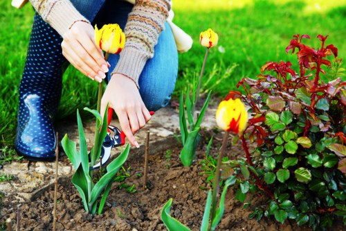 Lawn mowing and garden maintenance illustration