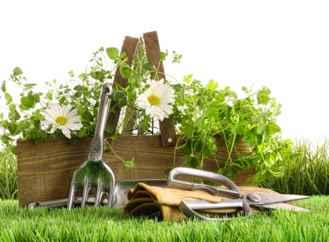 Professionally maintained lawn with vibrant flowers