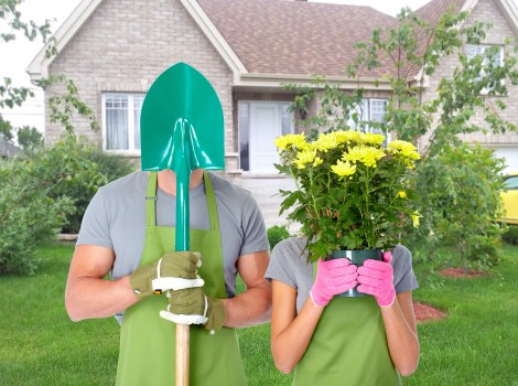 Sustainable gardening practices implemented in a Westminster garden