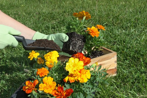 Sustainable garden features and native plants in Westminster