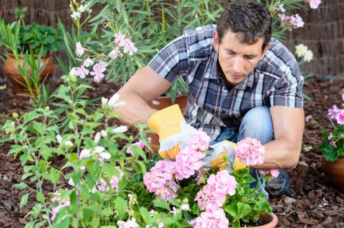 Professional garden design in Westminster