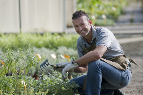 Summer garden maintenance in Westminster