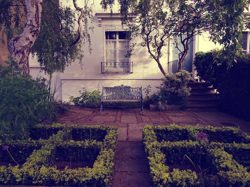 A small, well-maintained garden in Pimlico SW1, featuring a paved stone patio area with displaying mature trees and lush shrubs. In the foreground, neatly trimmed boxwood hedges form symmetrical borde