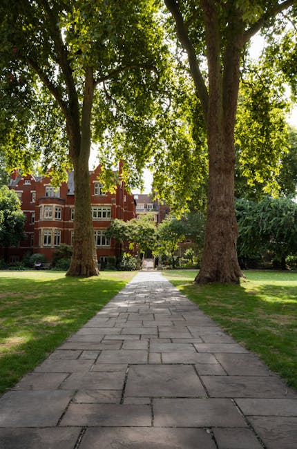 A small, well-maintained garden in Pimlico SW1, featuring a paved stone patio area with displaying mature trees and lush shrubs. In the foreground, neatly trimmed boxwood hedges form symmetrical borde